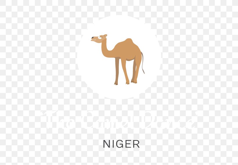 Dromedary Logo Camel Font, PNG, 664x568px, Dromedary, Arabian Camel, Camel, Camel Like Mammal, Fauna Download Free