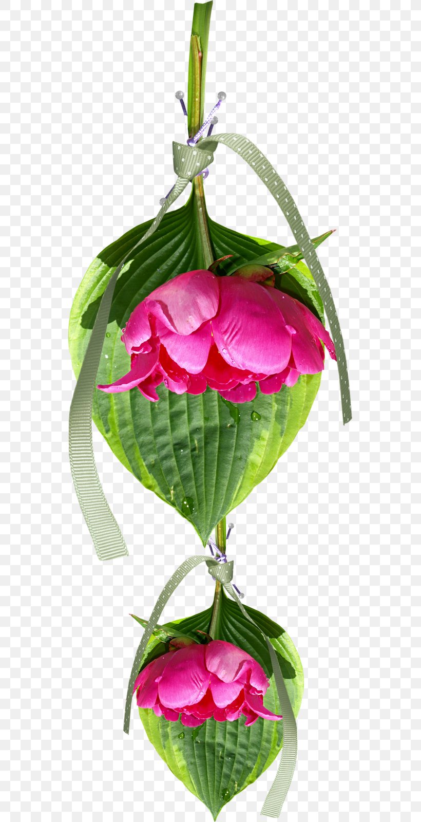 Floral Design Flower Clip Art, PNG, 555x1600px, Floral Design, Flora, Floristry, Flower, Flower Arranging Download Free
