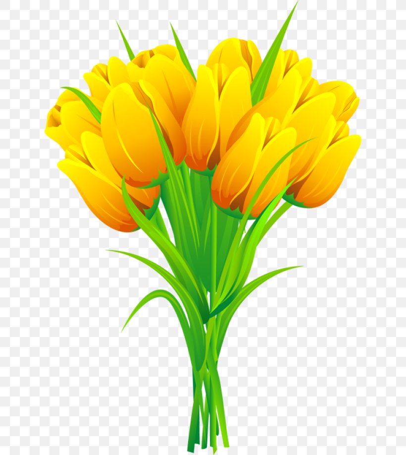 Flower Bouquet Tulip Clip Art, PNG, 640x918px, Flower, Crocus, Cut Flowers, Floral Design, Floristry Download Free