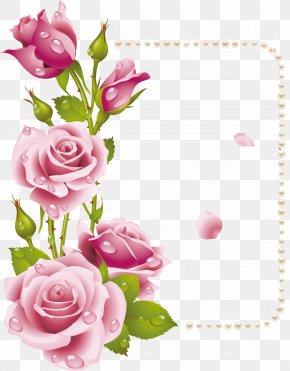 50 - Rose Flower Picture Frames Pink Clip Art PNG