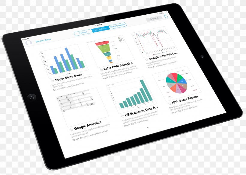 SQL Server Reporting Services How To Design Programs IPad Book ...