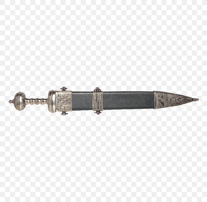 Sword Weapon Dagger Gladius Scabbard, PNG, 800x800px, Sword, Arma Bianca, Bayonet, Cold Weapon, Dagger Download Free
