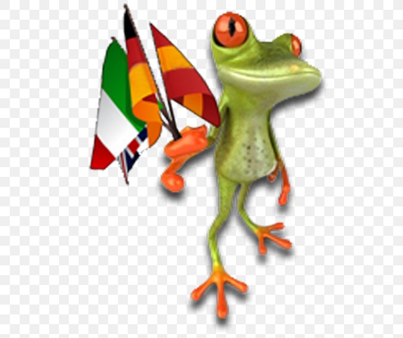 Tree Frog True Frog Champagne Depositphotos, PNG, 596x688px, Tree Frog, Amphibian, Beak, Champagne, Depositphotos Download Free