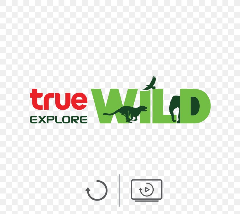 True Corporation ทรูไทยฟิล์ม Television Channel TrueVisions, PNG, 695x730px, True Corporation, Area, Brand, Digital Television, Film Download Free