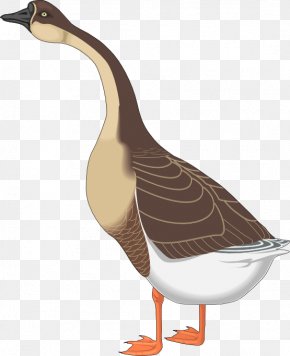 Mothman - Canada Goose Bird Clip Art PNG