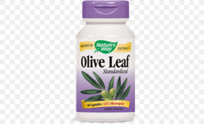Dietary Supplement Olive Leaf Oleuropein Extract, PNG, 500x500px, Dietary Supplement, Capsule, Extract, Food, Health Download Free