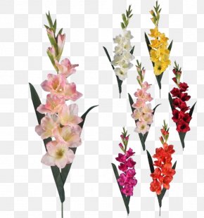 Gladiolus Transparent Background - Gladiolus Artificial Flower Floristry PNG