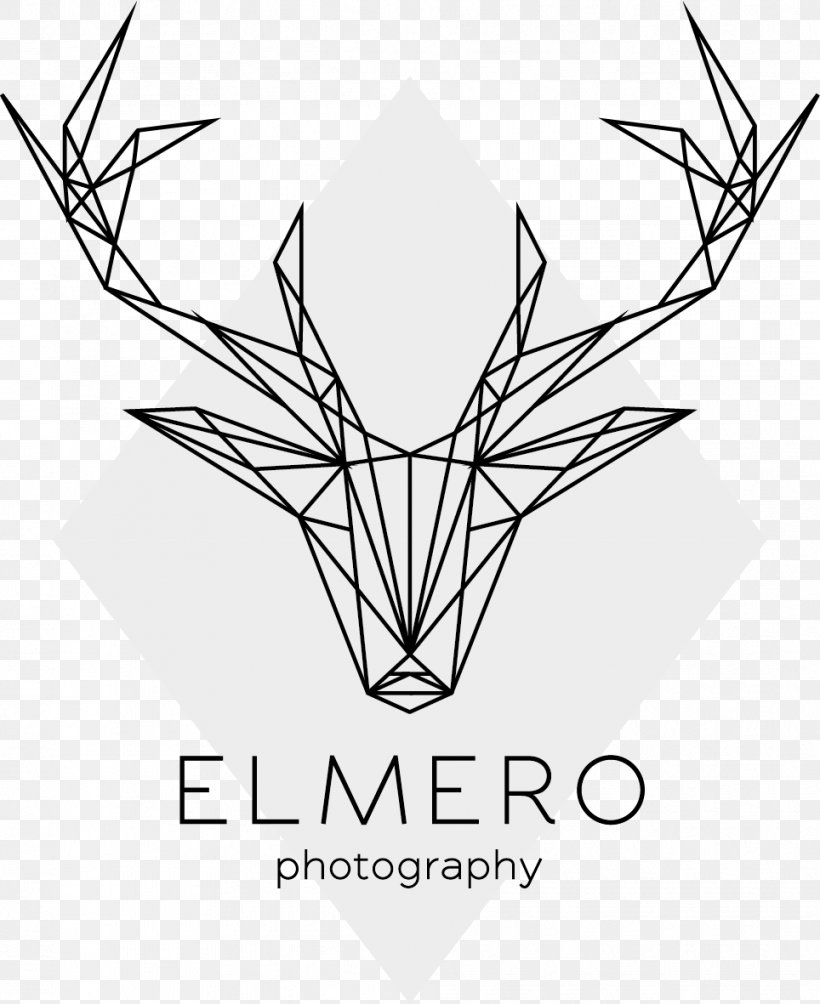 Photographer ELMERO, PNG, 964x1181px, Photographer, Art Paper, Artwork, Black And White, Leaf Download Free