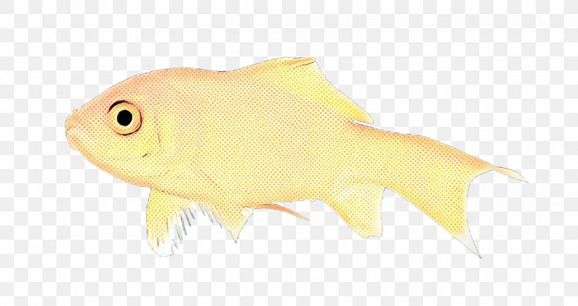 Pop Art Retro Vintage, PNG, 1132x600px, Pop Art, Biology, Bonyfish, Closeup, Fin Download Free