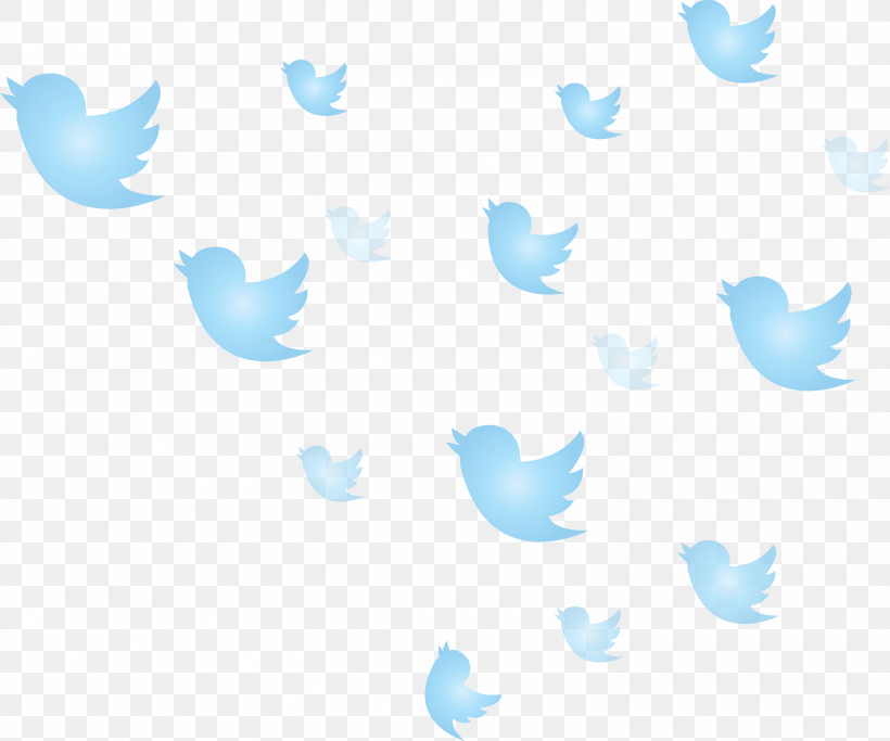 Twitter Flying Birds Birds, PNG, 3000x2500px, Twitter, Aqua, Azure, Birds, Blue Download Free