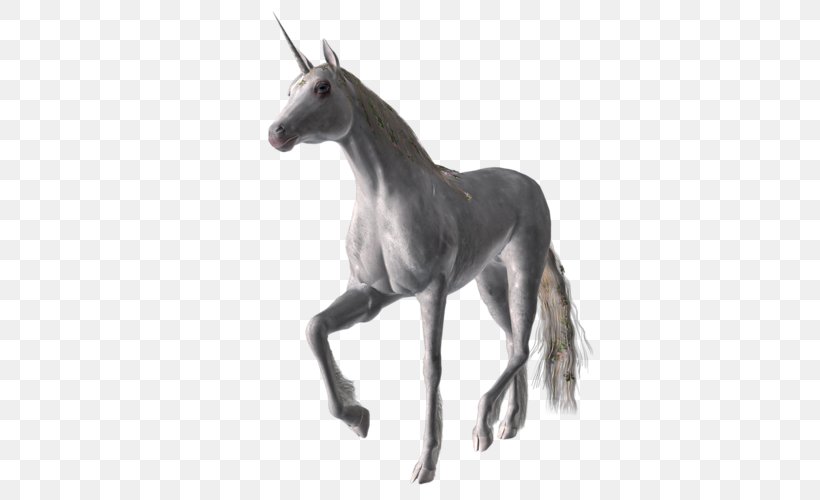 Unicorn Flying Horses Pegasus Painting Foal, PNG, 500x500px, 3d Computer Graphics, Unicorn, Animal, Colt, Drawing Download Free
