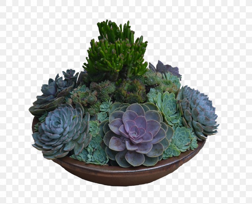 Houseplant Garden Design Table Matbord, PNG, 1020x824px, Houseplant, Cactaceae, Cactus, Dining Room, Flowerpot Download Free