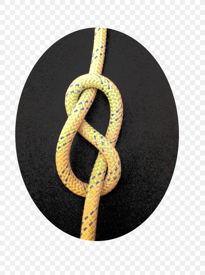 Knot Climbing Rope Tutorial Learning, PNG, 1936x2592px, Knot, Chain ...