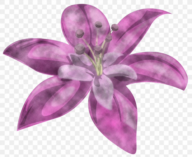 Lavender, PNG, 3000x2457px, Cut Flowers, Flower, Lavender, Lilac M, Petal Download Free