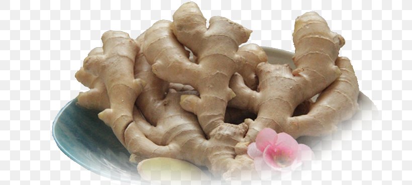 Mengzi Ginger Food Chinese Herbology, PNG, 734x369px, Mengzi, Auglis, Chinese Herbology, Food, Ginger Download Free