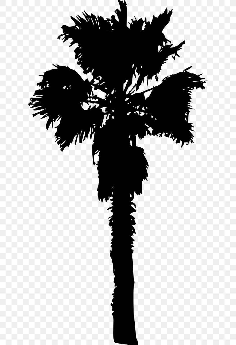 Palm Trees Plants Image, PNG, 624x1199px, Palm Trees, Arecales, Blackandwhite, Branch, Date Palms Download Free