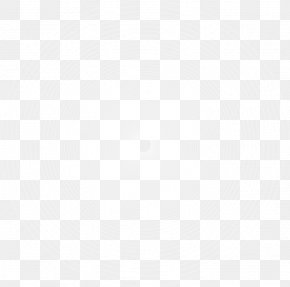 Leonardo Dicaprio - United States Email Information Company Computer Software PNG
