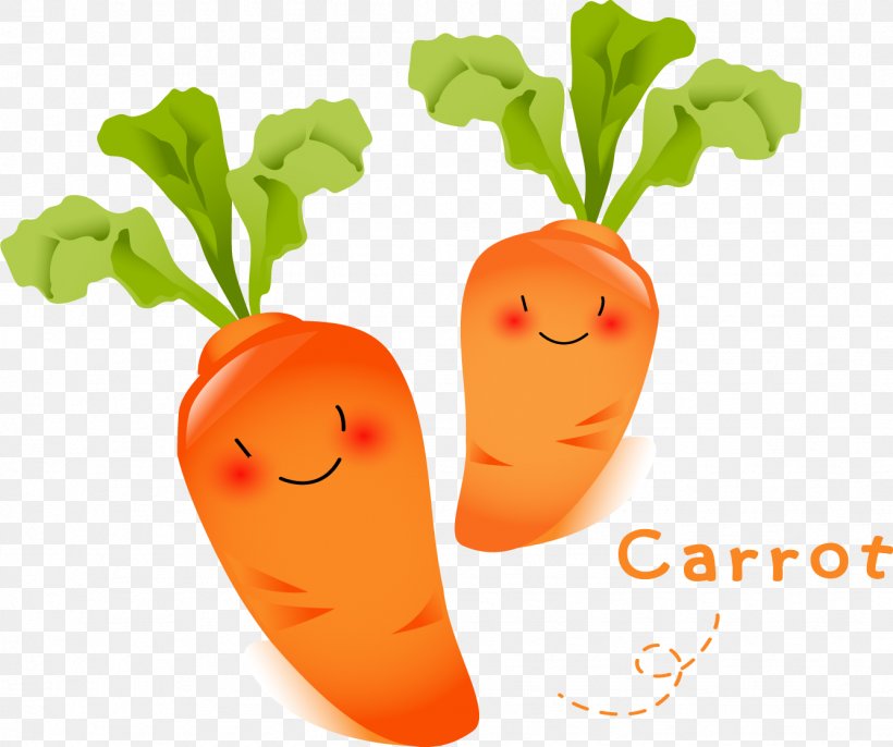 Carrot Vegetable Radish Food Fruit, PNG, 1336x1118px, Carrot, Cartoon, Clip Art, Color, Daucus Carota Download Free