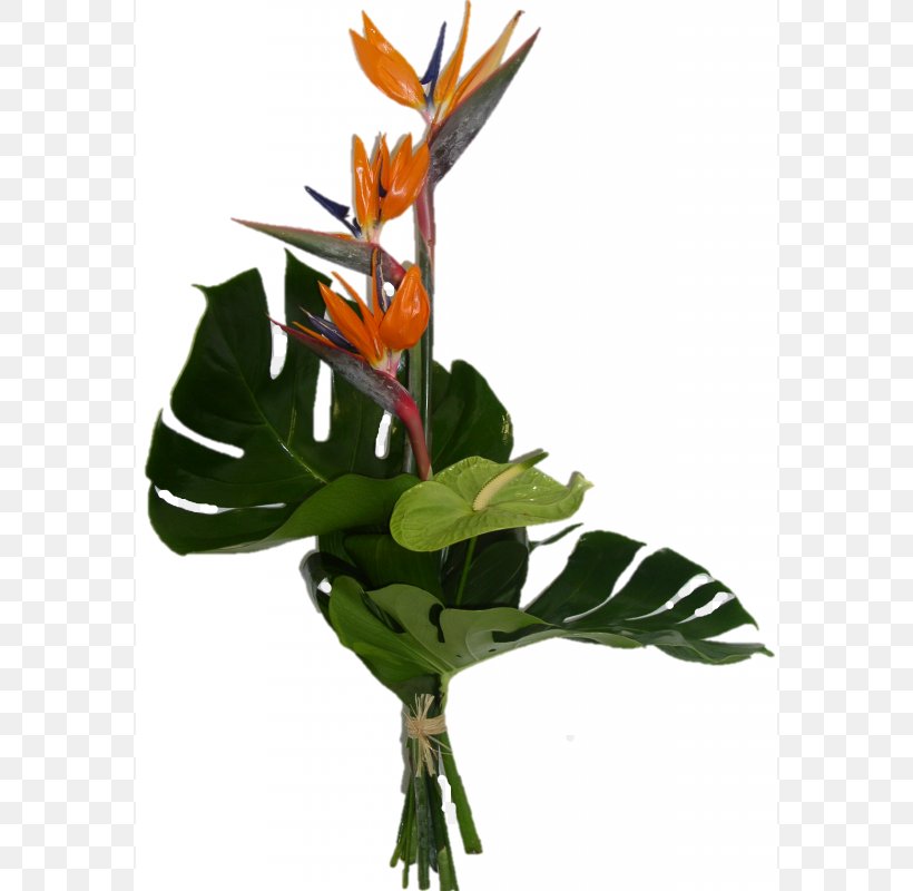 Flower Bouquet Bird Of Paradise Flower Cut Flowers, PNG, 800x800px, Flower Bouquet, Bird, Bird Of Paradise Flower, Canna Family, Canna Lily Download Free