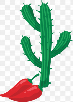 Mexican Elements PNG