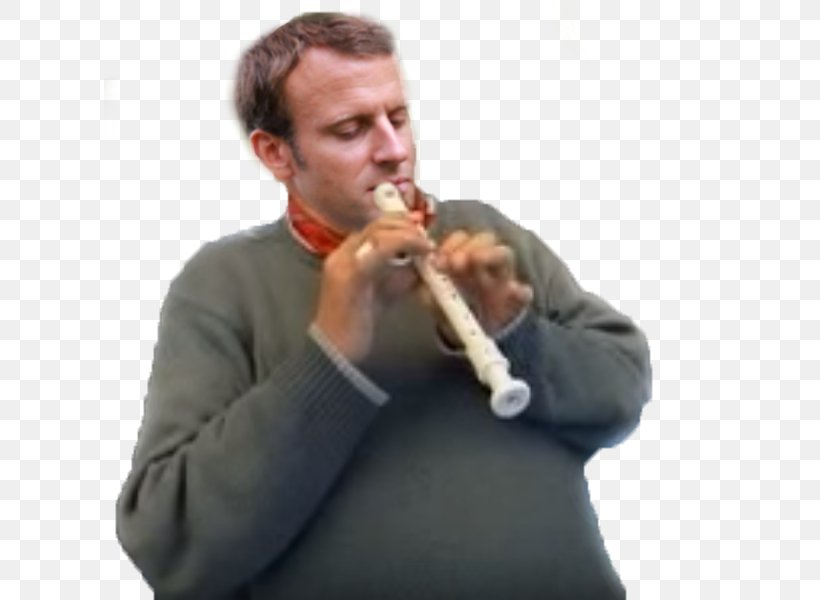 Nicolas Sarkozy Flute Trumpet Mellophone Woodwind Instrument, PNG, 611x600px, Watercolor, Cartoon, Flower, Frame, Heart Download Free
