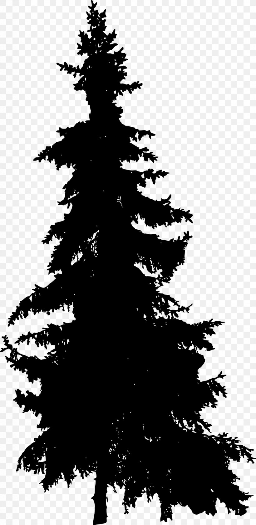 Pine Blue Spruce Fir Tree, PNG, 977x2000px, Pine, Black And White, Blue Spruce, Branch, Christmas Decoration Download Free