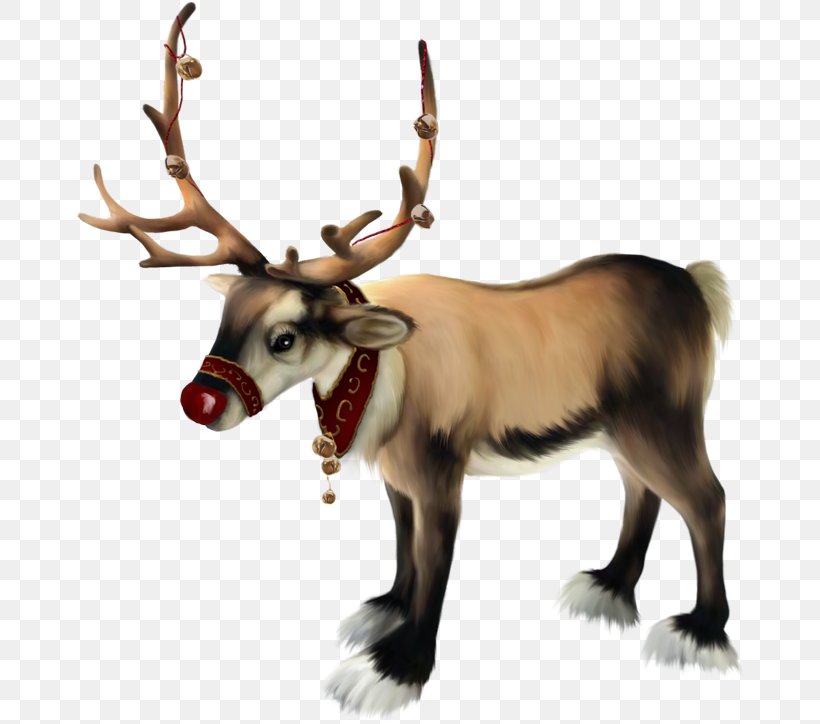 Rudolph Santa Claus Reindeer Christmas, PNG, 670x724px, Rudolph, Antler, Christmas, Christmas Tree, Deer Download Free