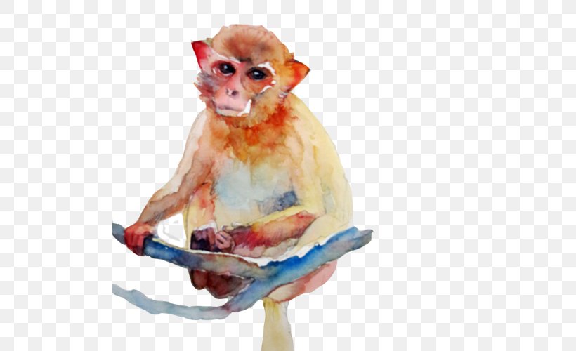 Cercopithecidae Watercolor Painting Monkey, PNG, 500x500px, Cercopithecidae, Golden Monkey, Mammal, Monkey, Old World Monkey Download Free