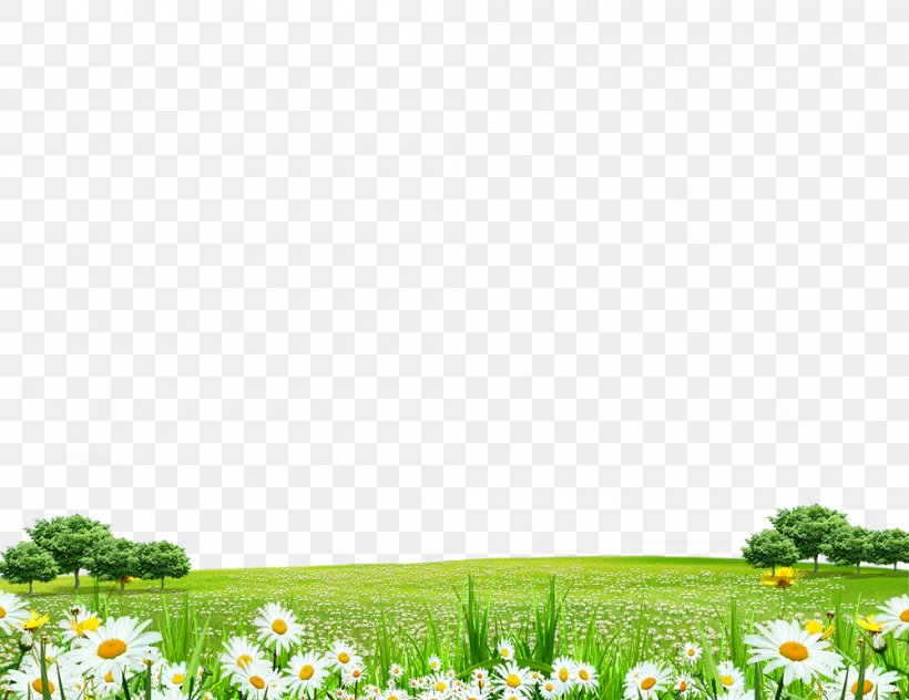 Computer File, PNG, 1000x771px, Bit, Flower, Grass, Green, Iphone Download Free