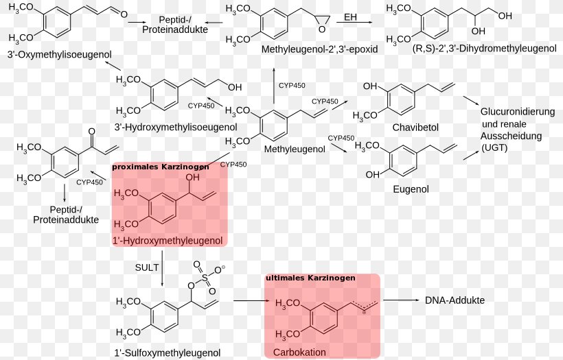 Methyl Eugenol Pimenta Racemosa Nutmeg Chavibetol, PNG, 800x525px, Methyl Eugenol, Allspice, Area, Diagram, Essential Oil Download Free