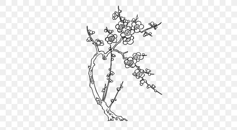 Paper Drawing Line Art Cherry Blossom, PNG, 600x450px, Paper, Art, Black And White, Blossom, Body Jewelry Download Free