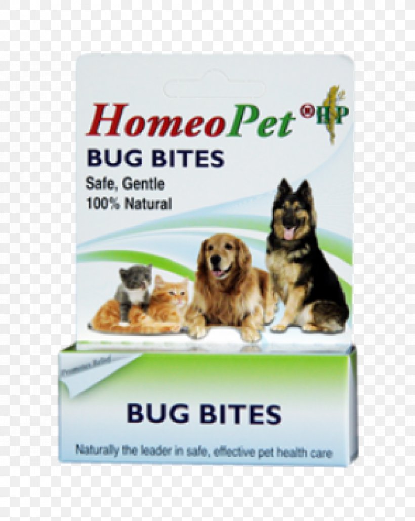 Dog Insect Bites And Stings Animal Bite Cat Allergy, PNG, 832x1044px, Dog, Ache, Allergy, Animal Bite, Back Pain Download Free