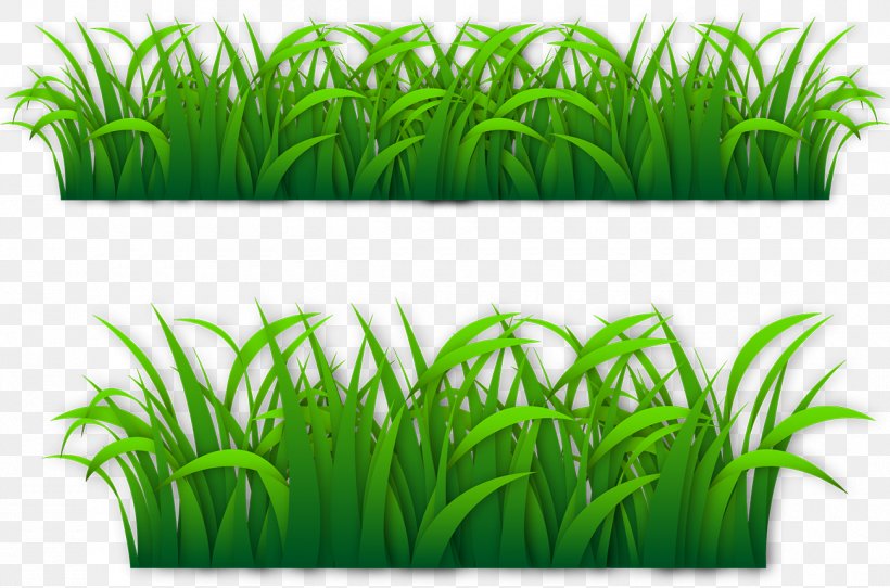 Euclidean Vector GRASS GIS, PNG, 1300x860px, Grass Gis, Aquarium Decor, Aquatic Plant, Commodity, Element Download Free