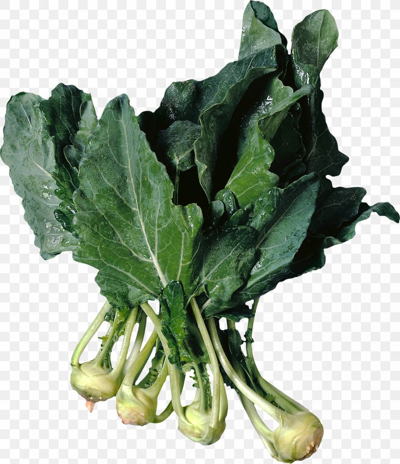 Kohlrabi Turnip Vegetable Food Collard Greens, PNG, 1106x1283px, Kohlrabi, Cabbage, Chou, Collard Greens, Cruciferous Vegetables Download Free