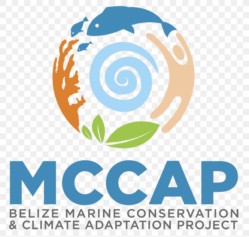Logo Organization Belize Coastal Zone Management Authority And Institute (CZMAI) Marine Protected Area, PNG, 800x783px, Logo, Area, Artwork, Belize, Brand Download Free