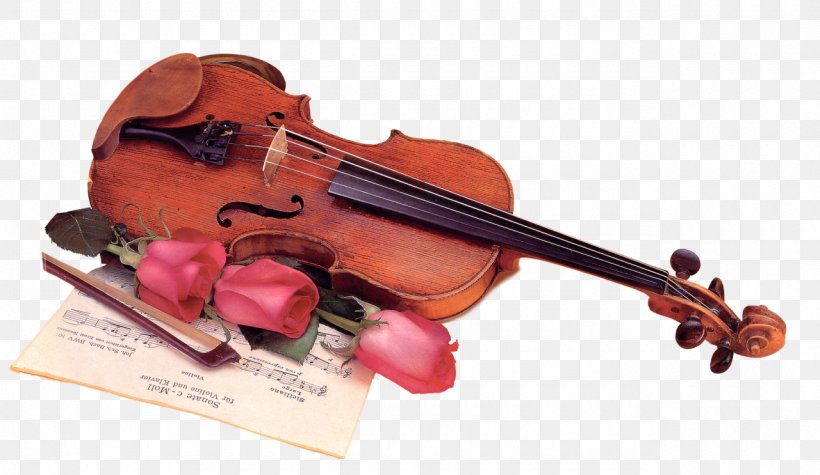 Violin Musical Instruments Composer, PNG, 1280x743px, Watercolor, Cartoon, Flower, Frame, Heart Download Free