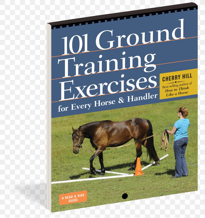 101 Ground Training Exercises For Every Horse & Handler Equestrian, PNG, 2250x2400px, Horse, Advertising, Book, Cherry Hill, Education Download Free