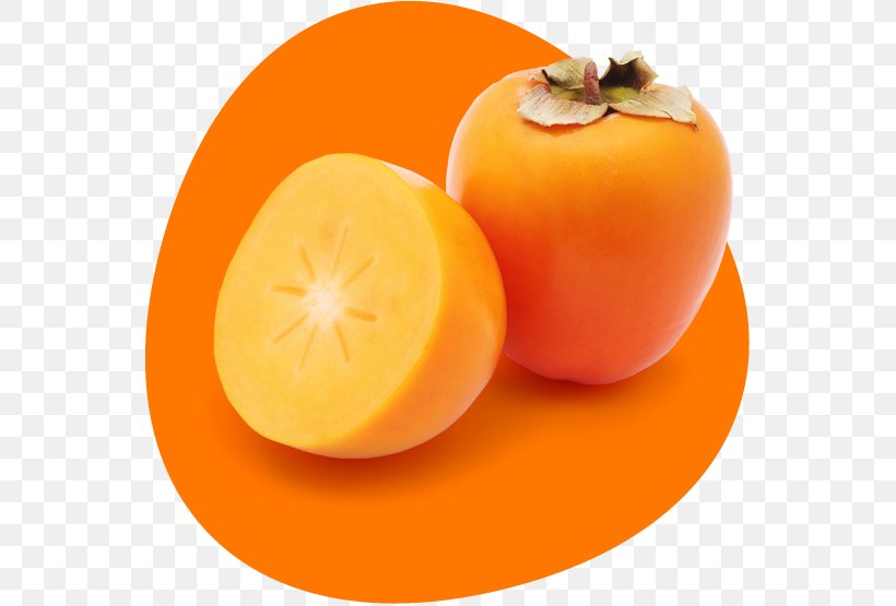 Clementine Fruit Japanese Persimmon Orange, PNG, 555x555px, Clementine, Citrus, Diet Food, Diospyros, Ebony Trees And Persimmons Download Free