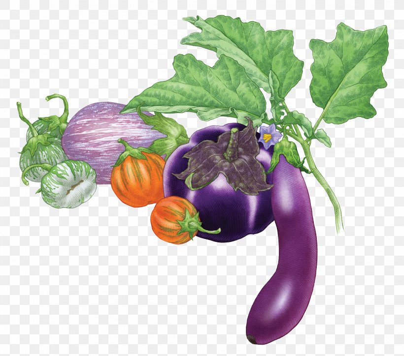 Eggplant Fruit Vegetable Tomato, PNG, 2863x2529px, Eggplant, Basil, Crop, Food, Fruit Download Free
