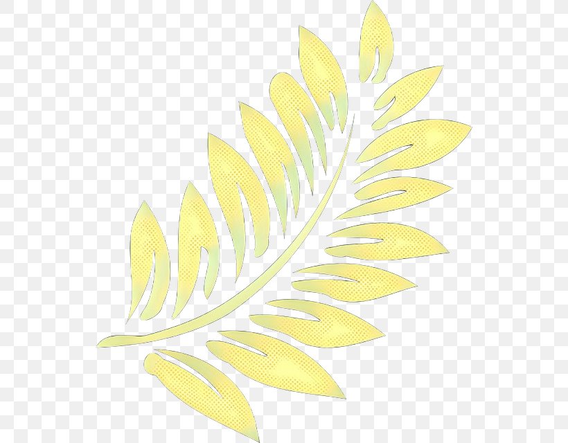 Flower Line, PNG, 544x640px, Petal, Flower, Fruit, Leaf, Plant Download Free