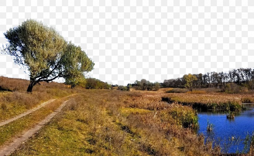 Horodok Landscape Painting, PNG, 1200x739px, Landscape Painting, Bog, Ecosystem, Fukei, Grass Download Free