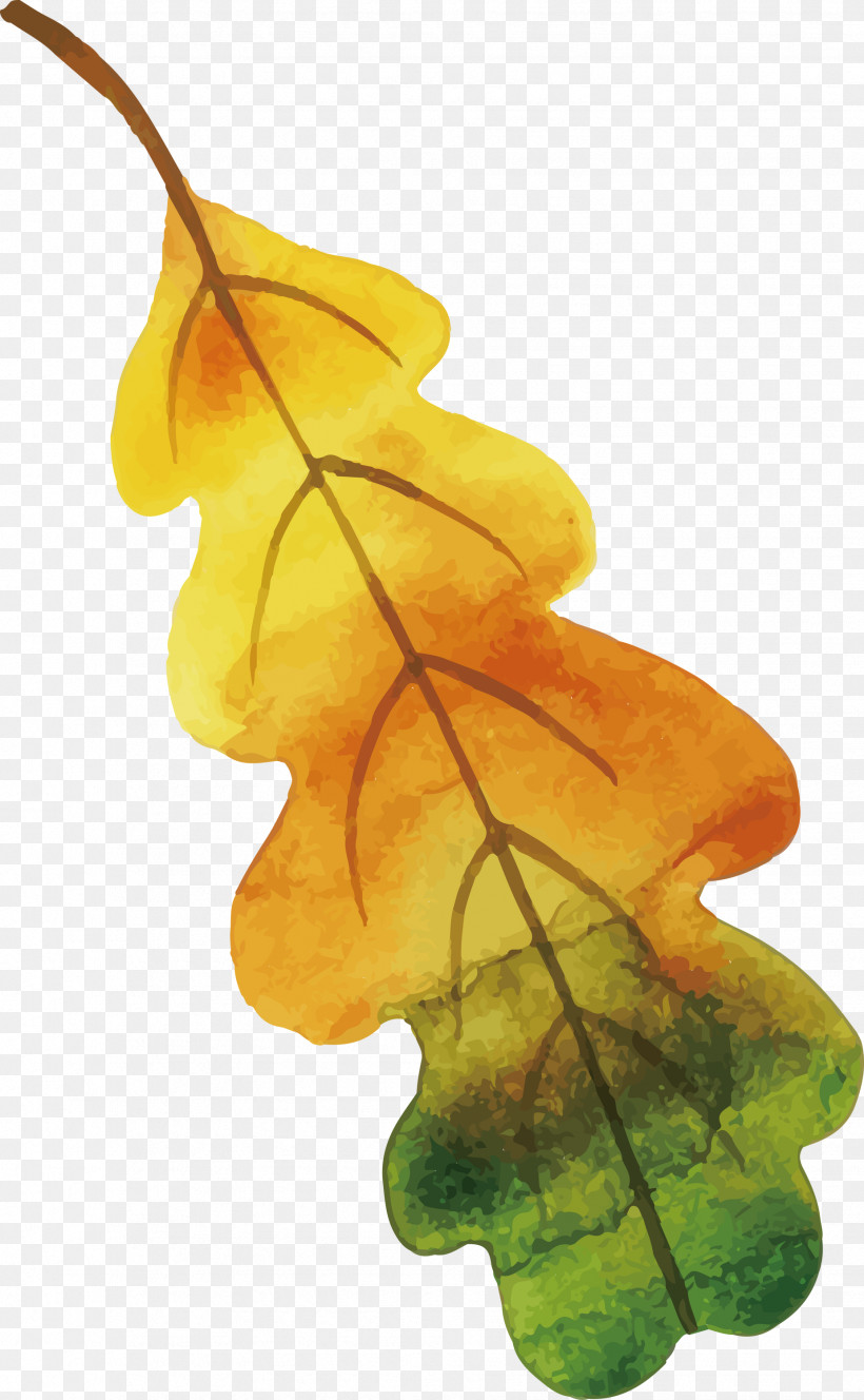 Leaf Plant Stem Plants Biology Science, PNG, 1852x3000px, Watercolor Autumn, Biology, Colorful Leaf, Leaf, Plant Stem Download Free