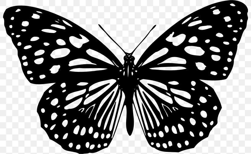 Butterfly Animation Color Clip Art, PNG, 800x504px, Butterfly, Animation,  Arthropod, Birdwing, Black And White Download Free