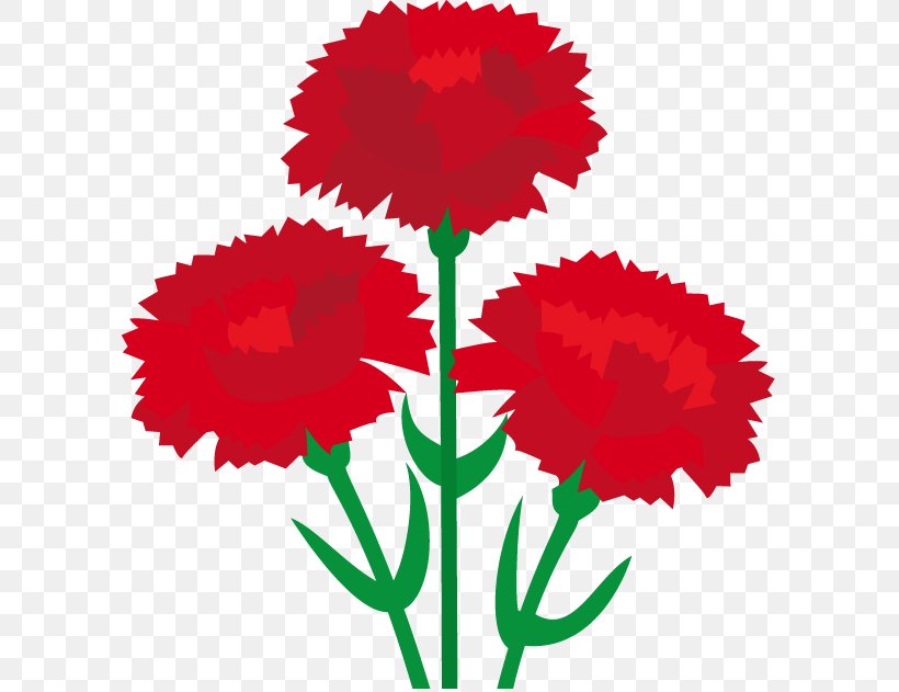 Carnation Father's Day Mother's Day Flower Clip Art, PNG, 597x631px, Carnation, Artwork, Cut Flowers, Father S Day, Flora Download Free