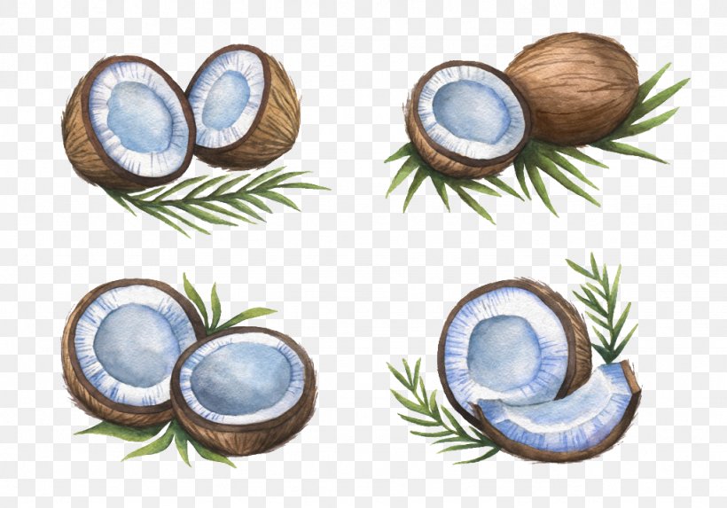 Coconut Milk Illustration, PNG, 1024x716px, Coconut Milk, Ceramic, Coconut, Coconut Oil, Dishware Download Free