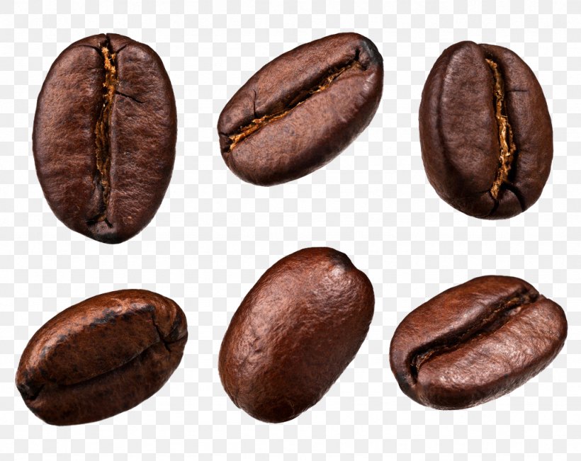 Coffee Bean Tea Cafe, PNG, 1024x814px, Coffee, Arabica Coffee, Baking, Barista, Bean Download Free