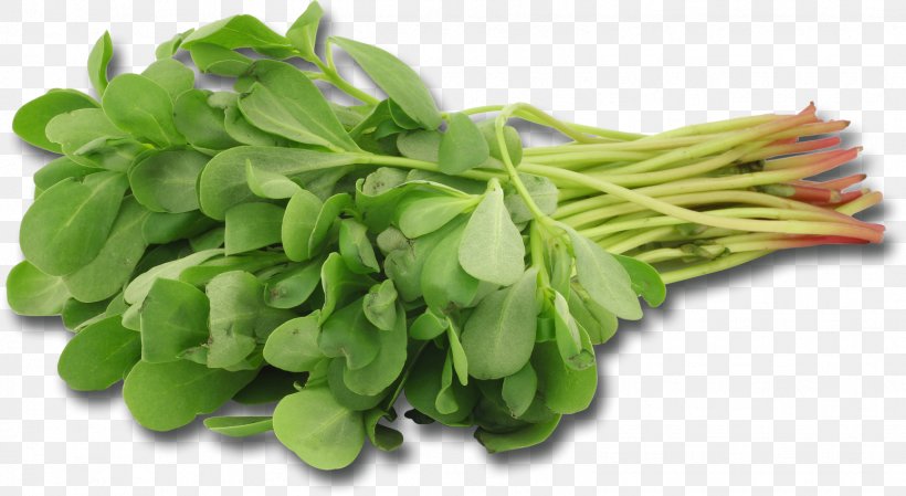 Mesclun Common Purslane Leaf Vegetable Herb, PNG, 1548x849px, Mesclun, Broad Bean, Calorie, Commodity, Common Purslane Download Free