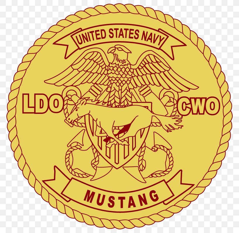 United States Of America Mustang United States Navy Limited Duty Officer Chief Warrant Officer, PNG, 800x800px, Watercolor, Cartoon, Flower, Frame, Heart Download Free