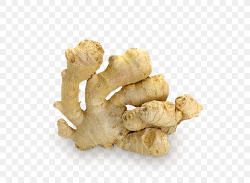 Ginger Oleoresin Turmeric Mumps Extract, PNG, 600x600px, Ginger, Curcumin, Extract, Food, Galangal Download Free