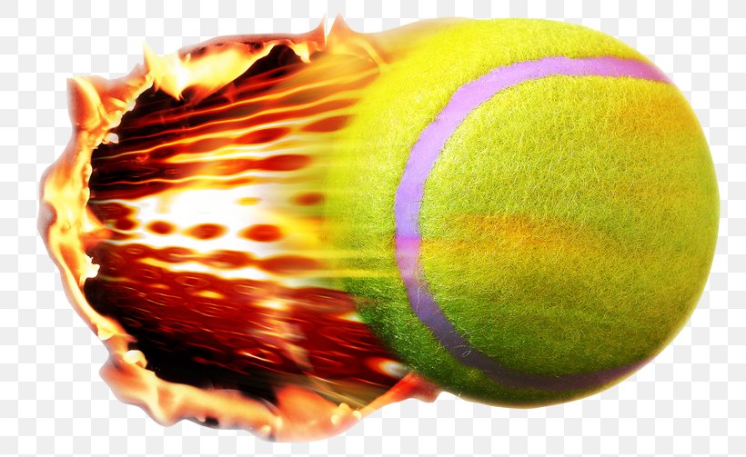 The US Open (Tennis) Tennis Balls Clip Art Image, PNG, 800x503px, Us Open Tennis, Ball, Beach Tennis, Ping Pong, Racket Download Free